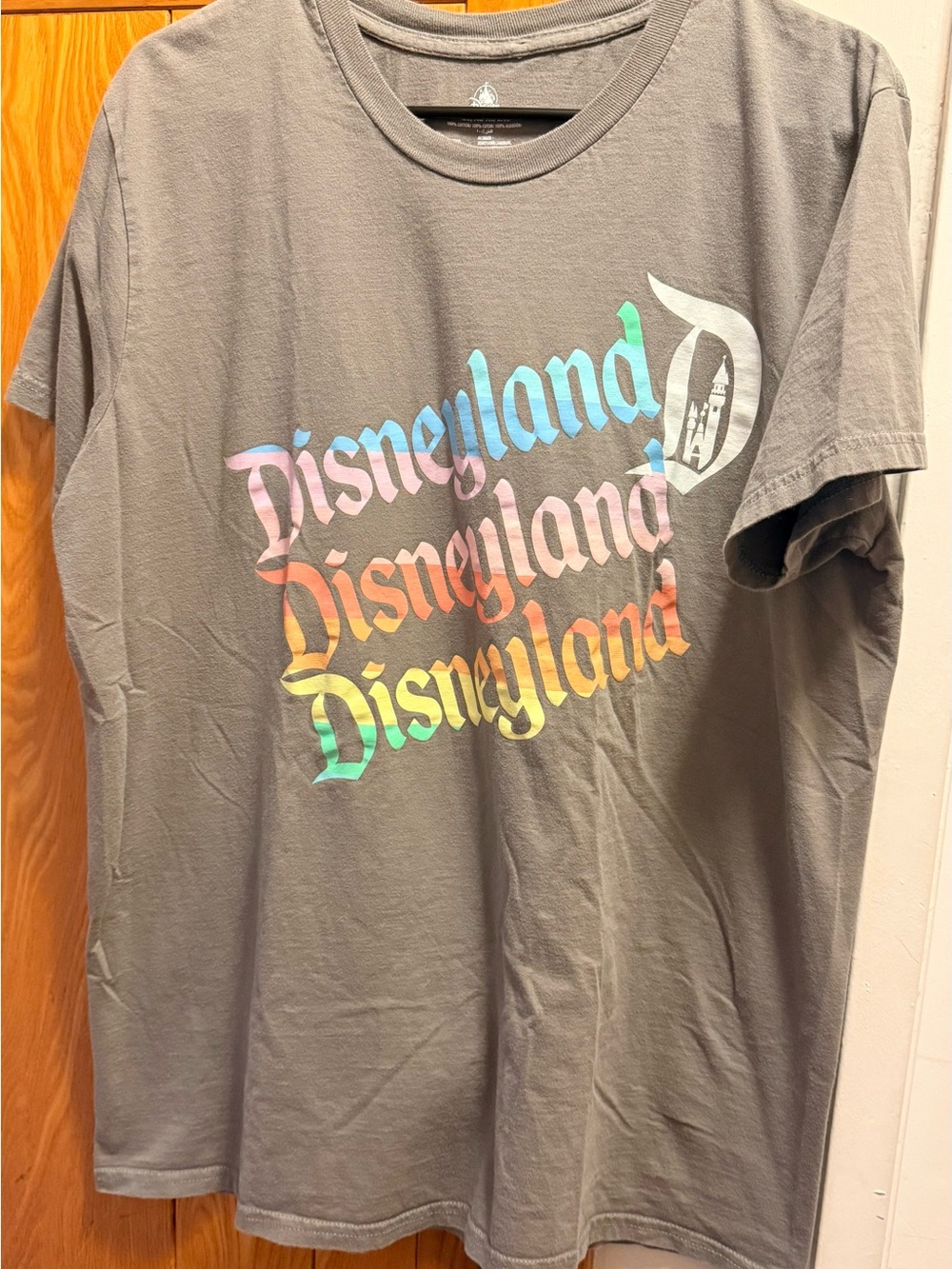 Disney Gray Tee with Rainbow Disneyland Script
